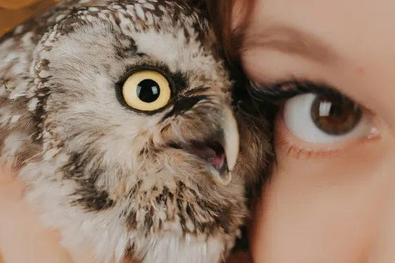 Casino Palace of Chance Assistance